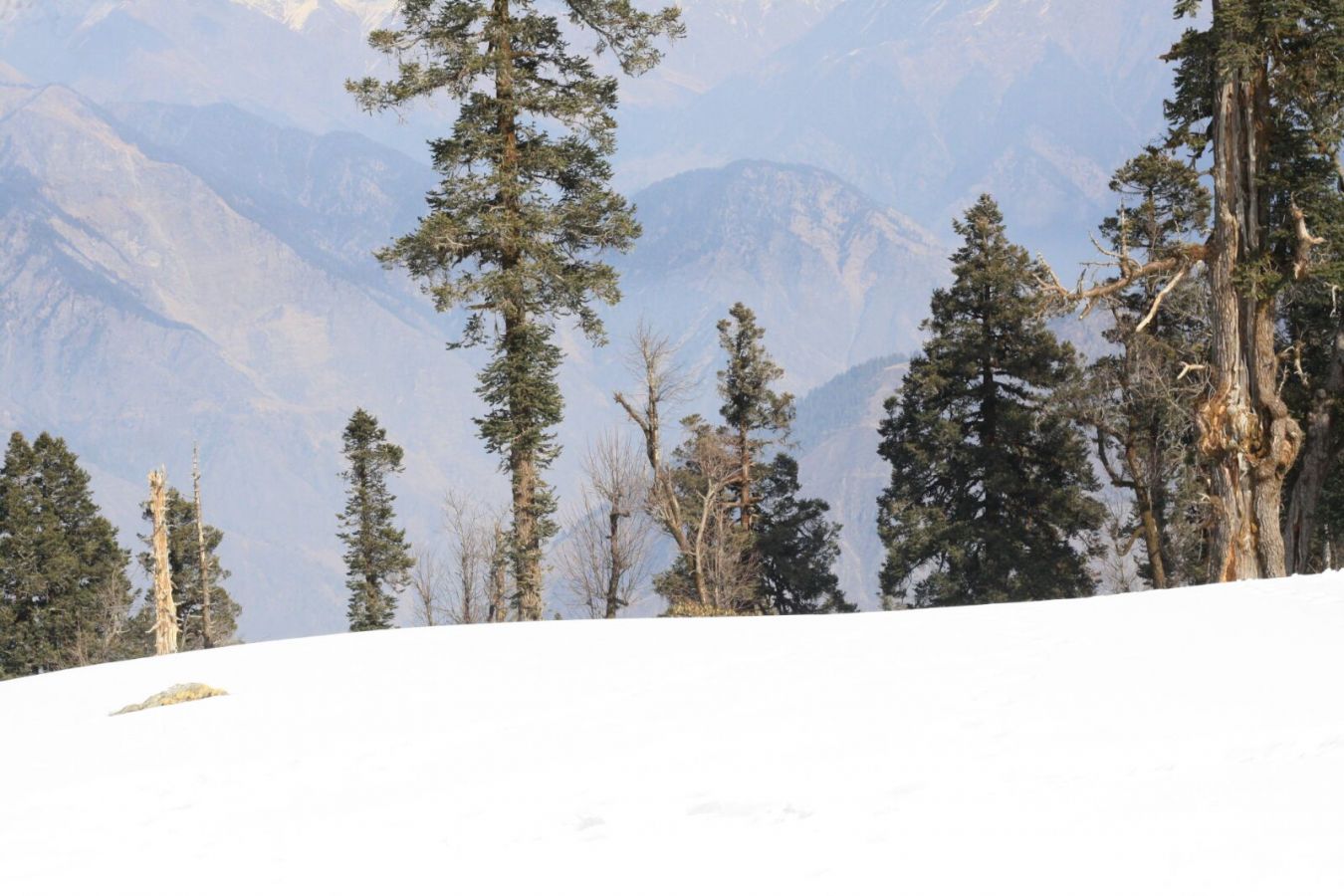 Kedarkantha Dehradun Kedarkantha Dehradun