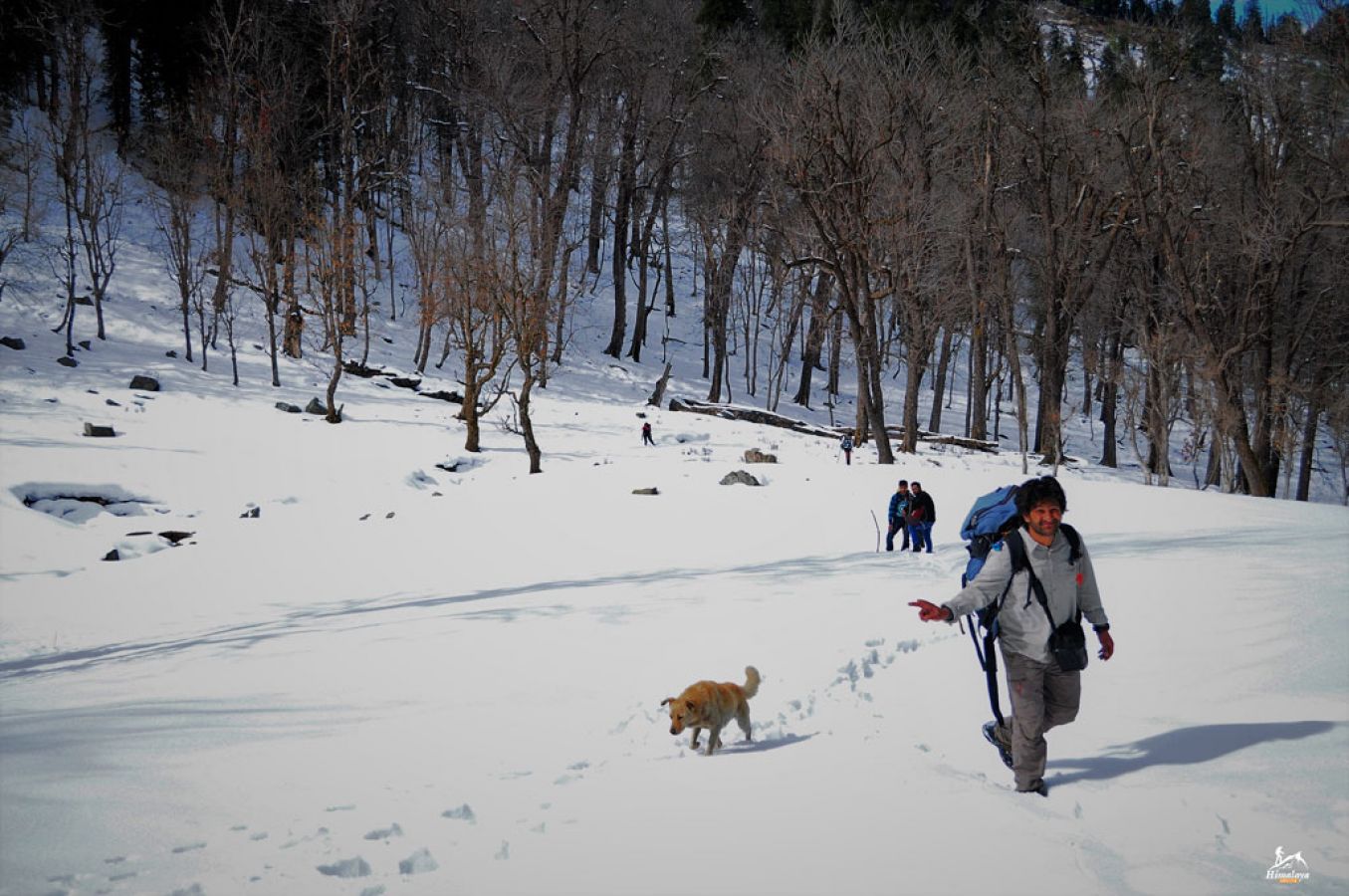 Kedarkantha Dehradun Kedarkantha Dehradun