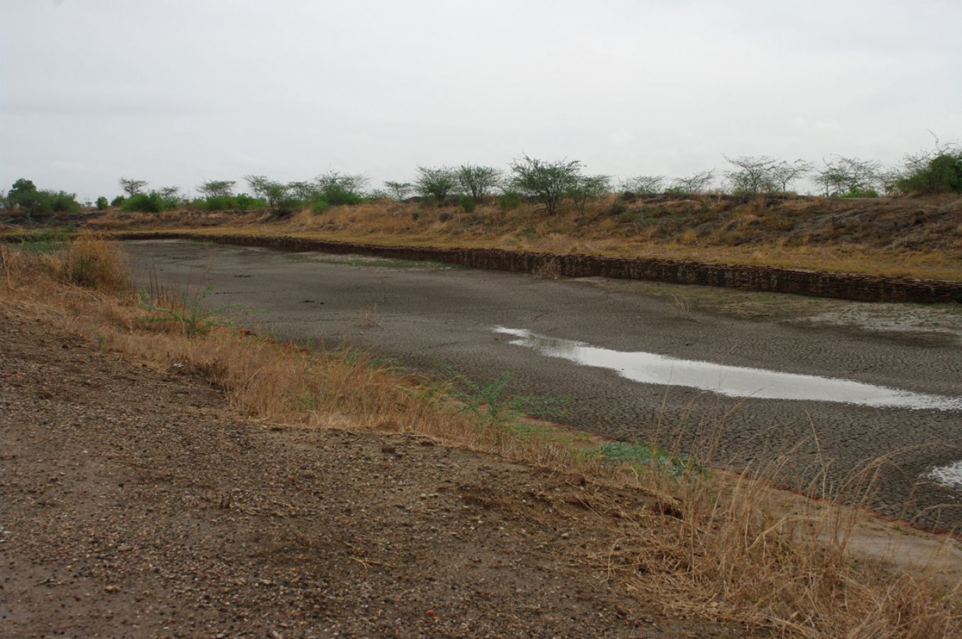 Lothal Saragwala Lothal Saragwala