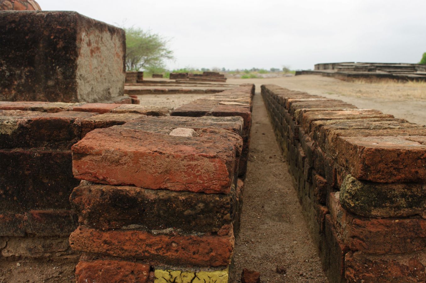 Lothal Saragwala Lothal Saragwala