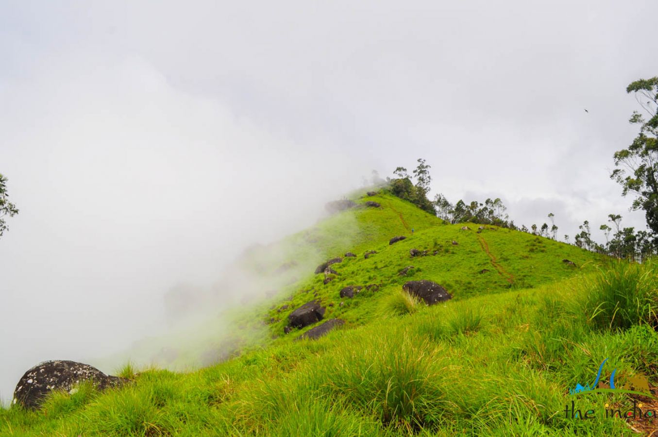 Grassland Munnar Grassland Munnar