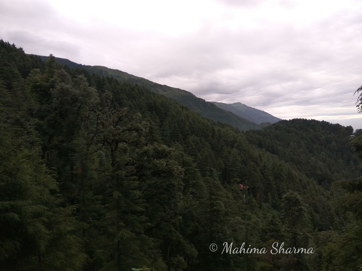 Naddi View Point Dharamshala