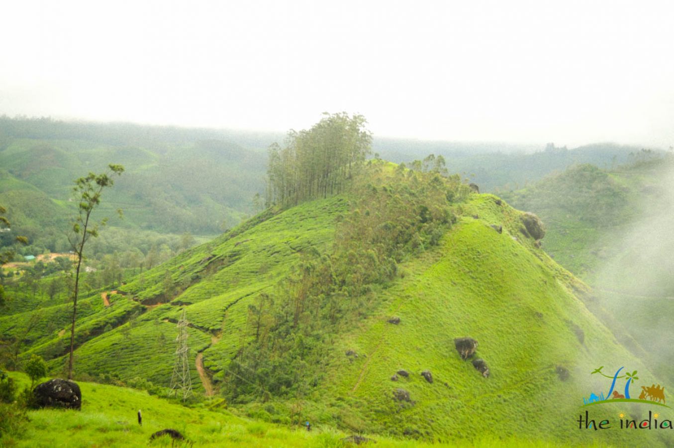 Grassland Munnar Grassland Munnar