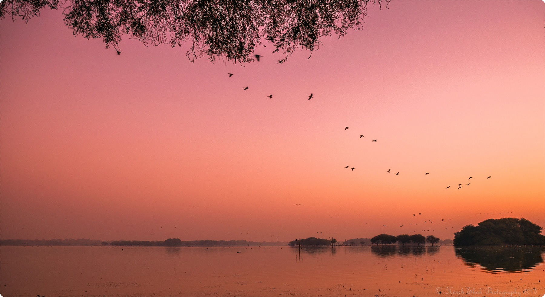 Thol Bird Sanctuary Ahmedabad