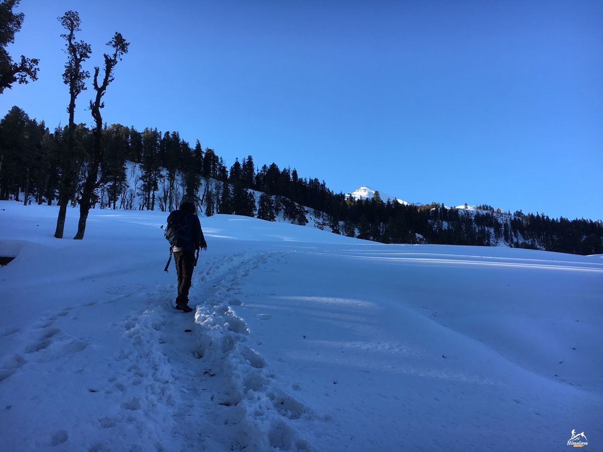 Kedarkantha Dehradun Kedarkantha Dehradun