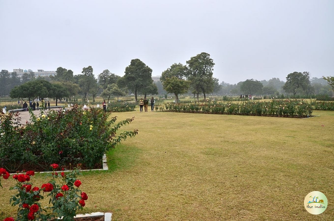 Chandigarh Chandigarh Chandigarh Chandigarh